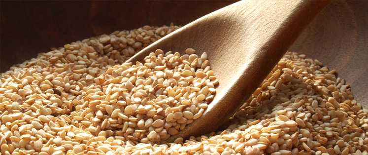 1 Ton of Sesame Seeds